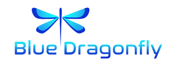 Blue Dragonfly — Business Central partner