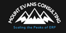 Mount Evans Consulting